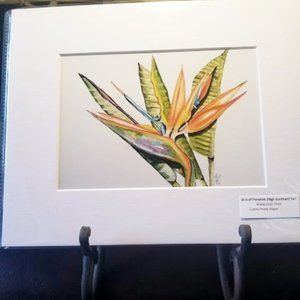 Bird of Paradise Watercolor Print Matted to 8x10